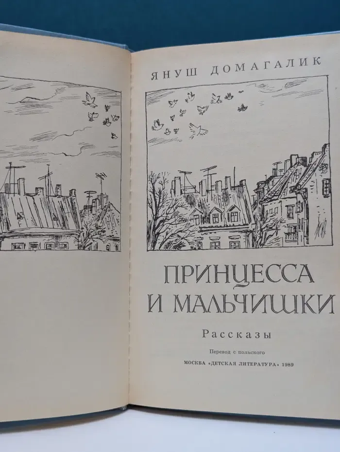 Принцесса и мальчишки