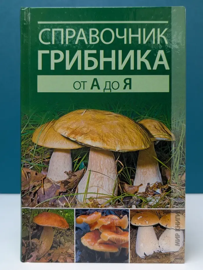 Справочник грибника от А до Я