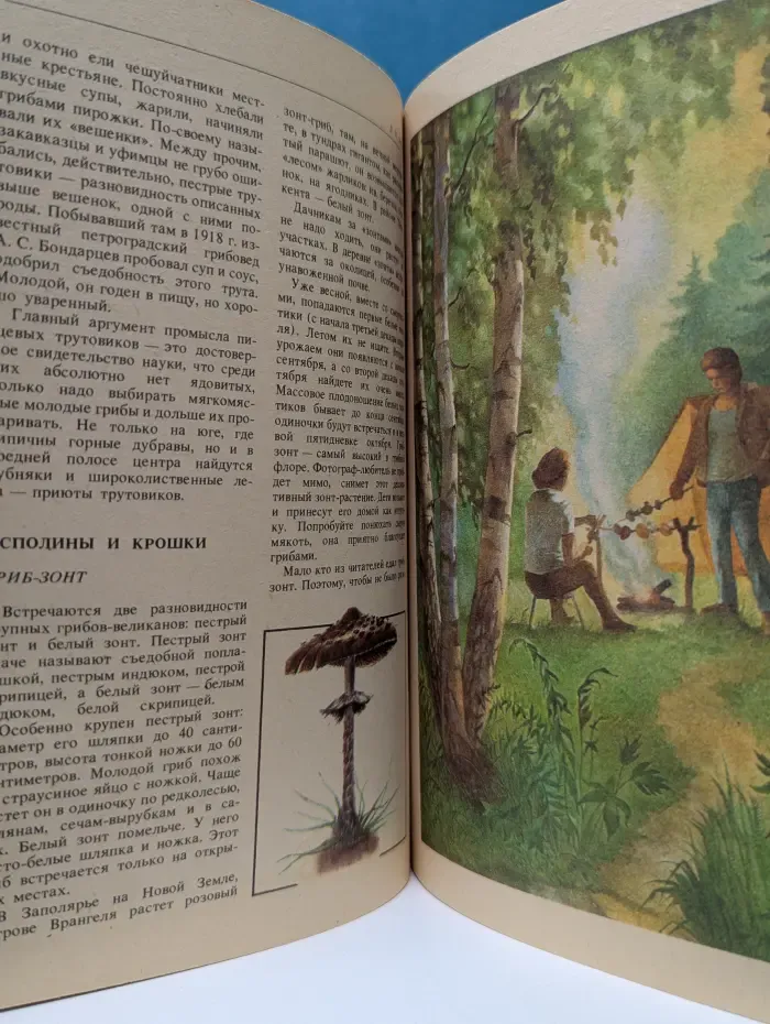 Дары русского леса