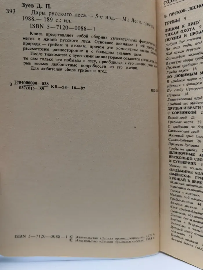 Дары русского леса