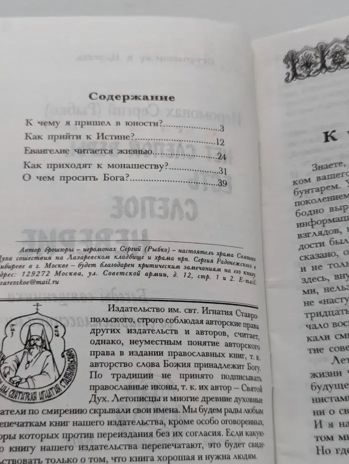 Вступающему в Церковь. Нет слепой веры, есть слепое неверие. Беседы священника со старшеклассниками