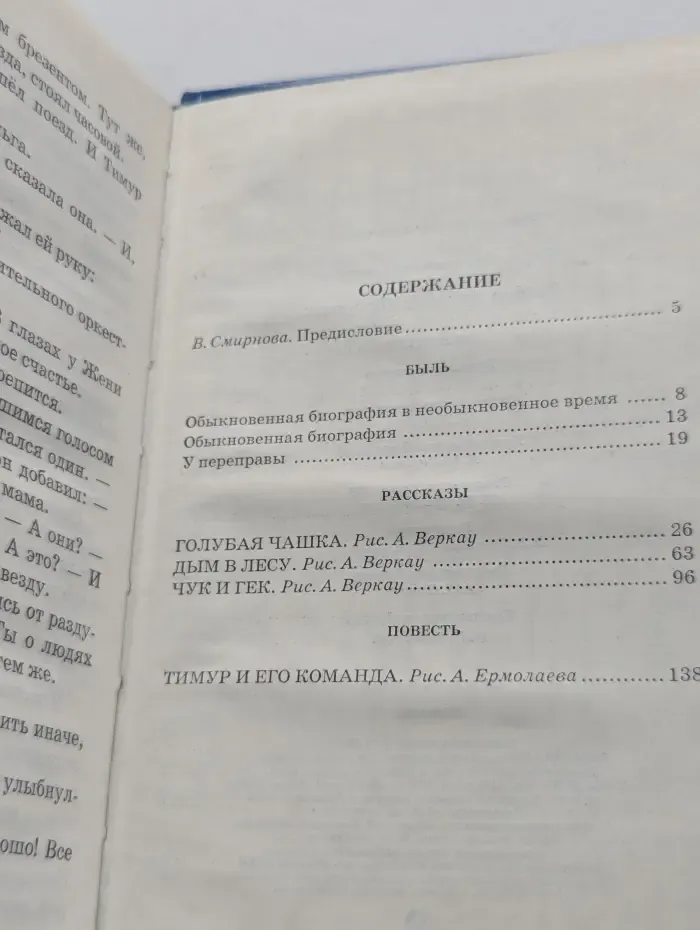 Школьная библиотека. Чук и Гек