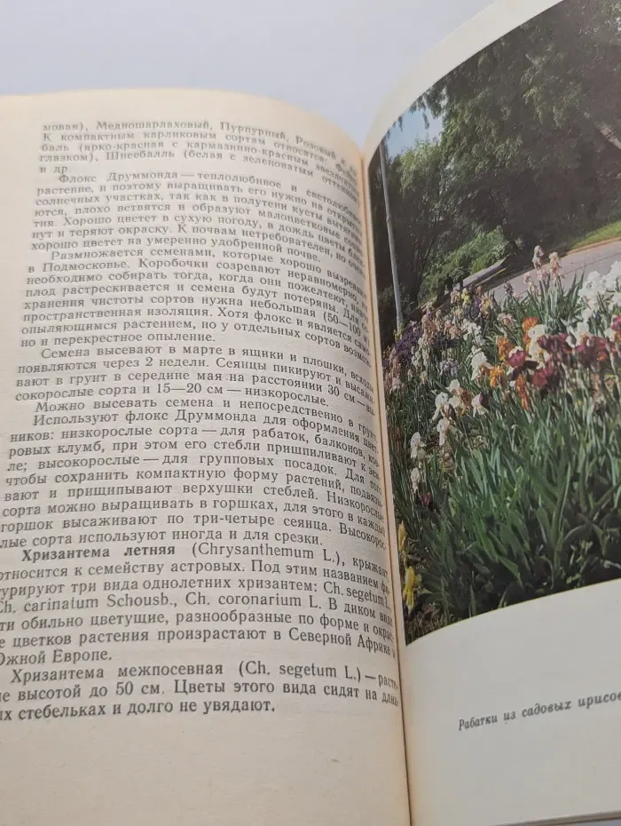 Цветы для Подмосковья