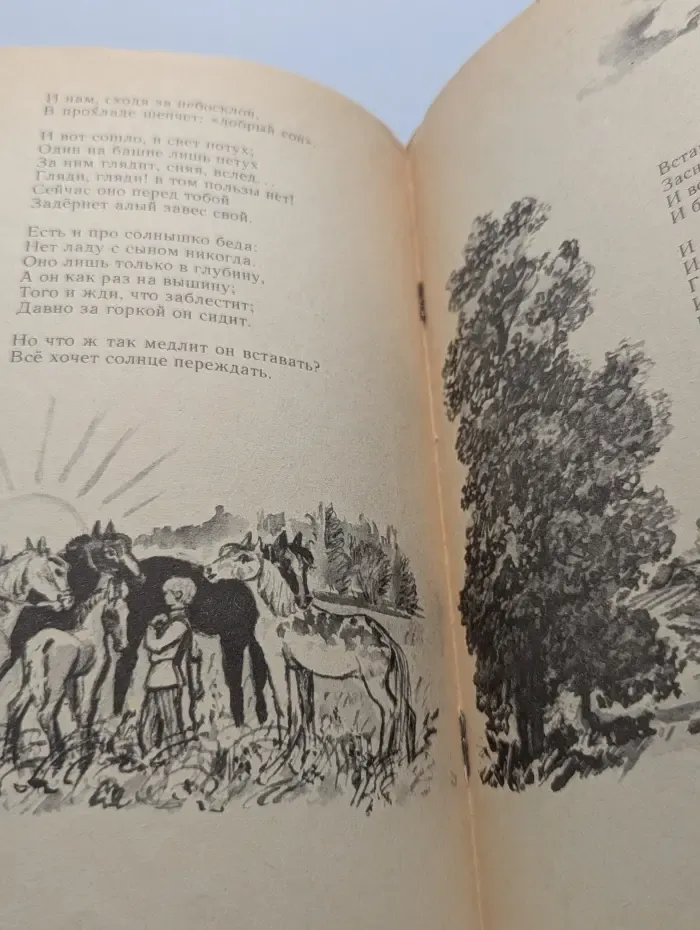 Мои первые книжки. Летний вечер