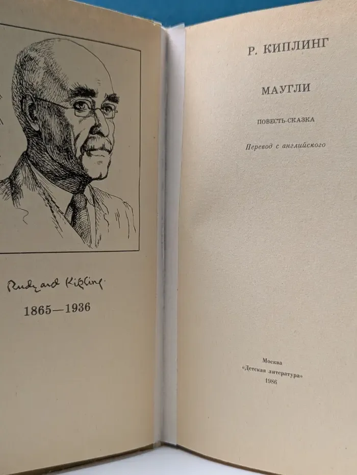 Школьная библиотека. Маугли