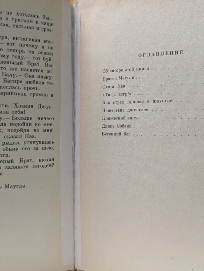 Школьная библиотека. Маугли