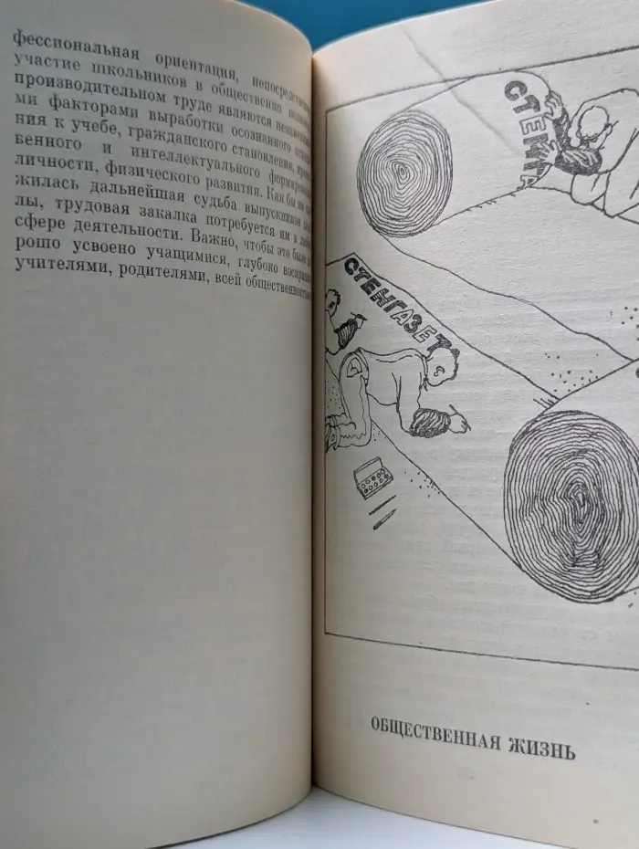 Личность. Мораль. Воспитание. Молодость и зрелость. Размышления о некоторых социальных проблемах молодежи