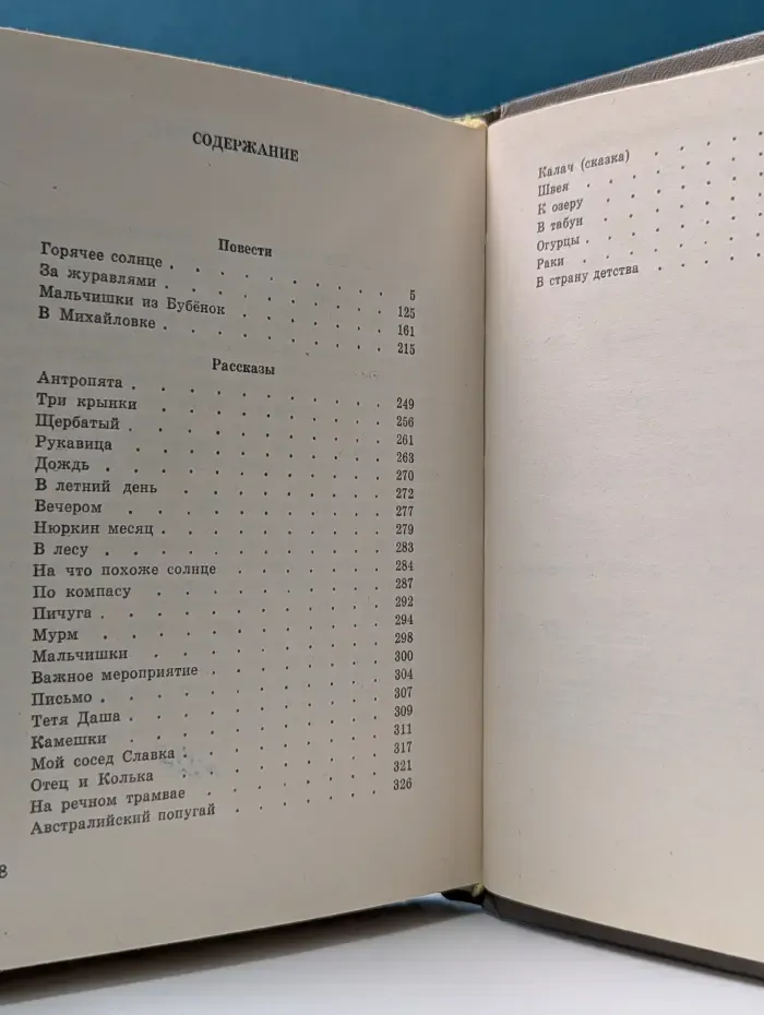 Мальчишки из Бубенок