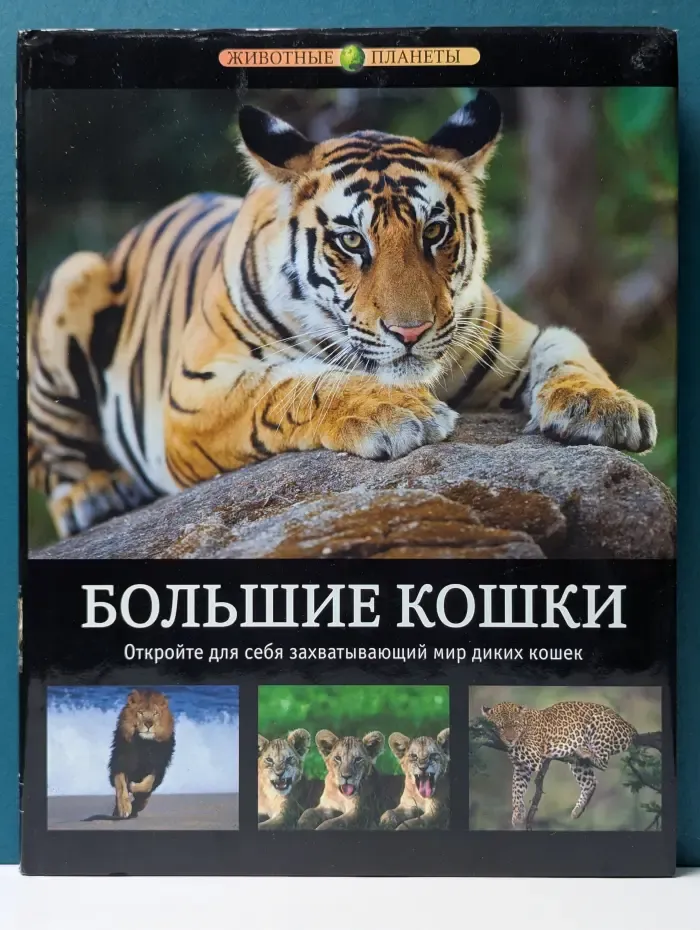 Животные планеты. Большие кошки