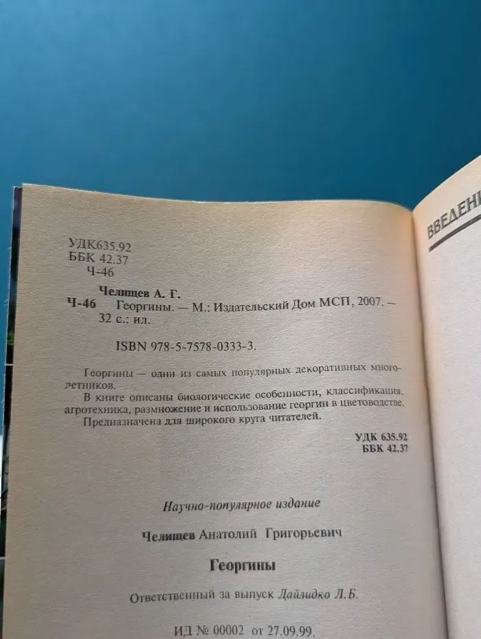 Георгины