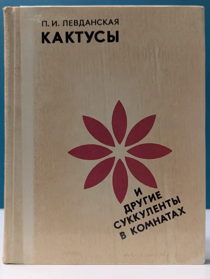 Кактусы и другие суккуленты в комнатах