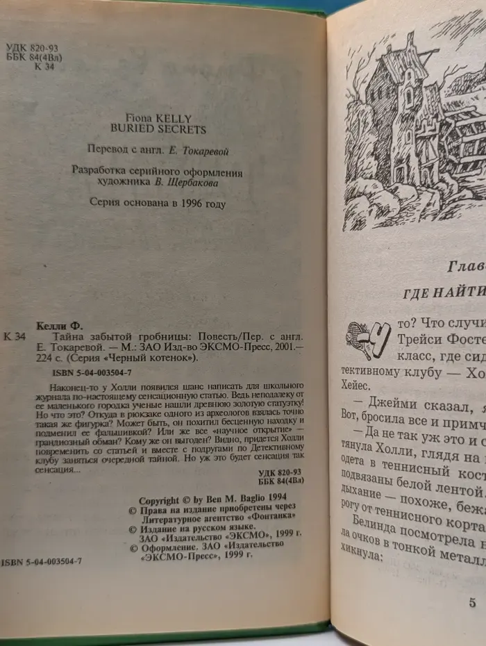 Черный котенок. Тайна забытой гробницы