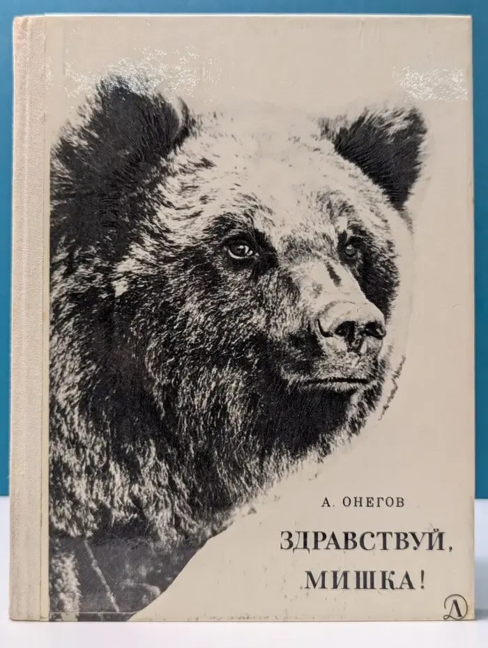 Здравствуй, Мишка!