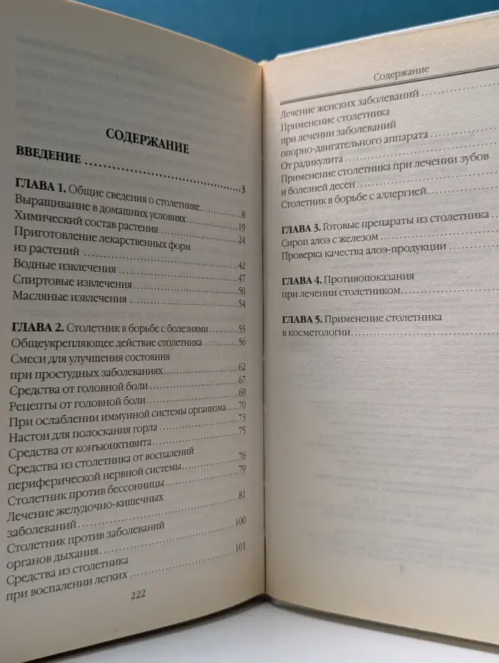 Столетник от А до Я