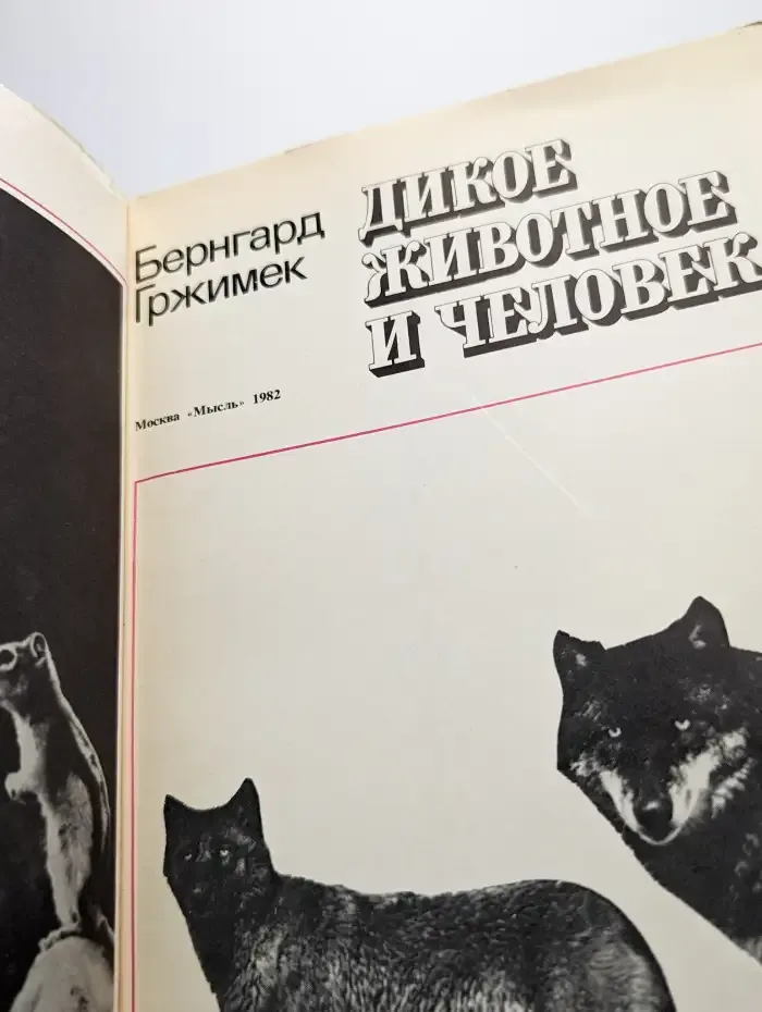 Дикое животное и человек