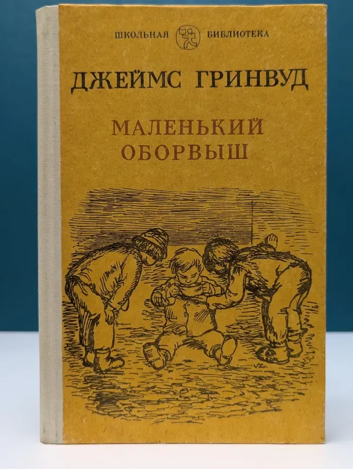 Школьная библиотека. Маленький оборвыш