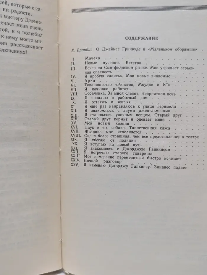 Школьная библиотека. Маленький оборвыш