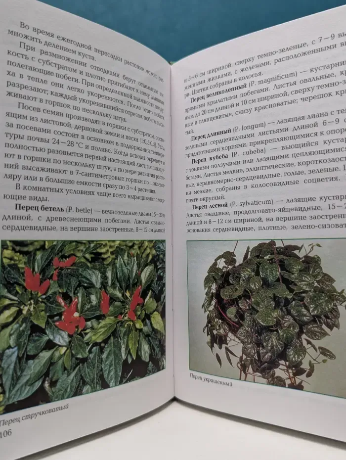 Энциклопедия комнатного цветоводства. Ампельные и вьющиеся растения