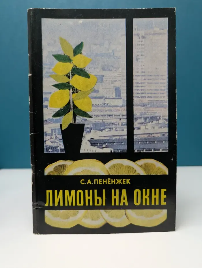 Лимоны на окне