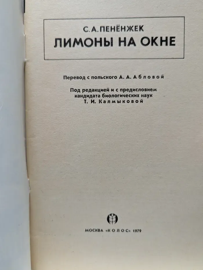 Лимоны на окне