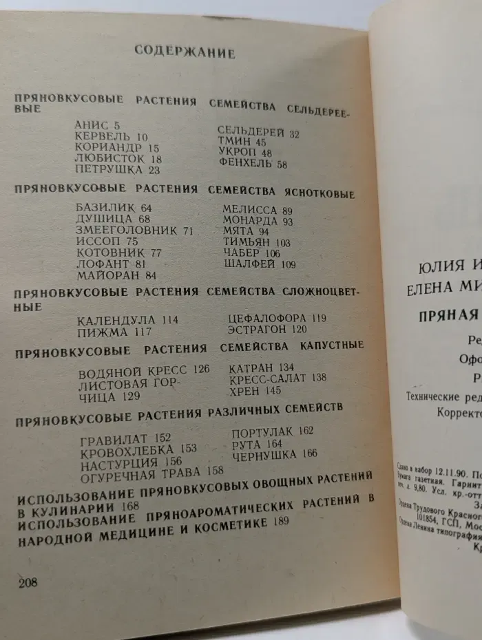 Пряная зелень на грядках