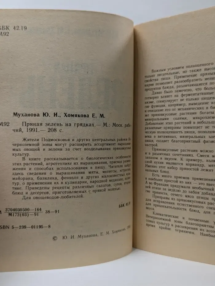 Пряная зелень на грядках