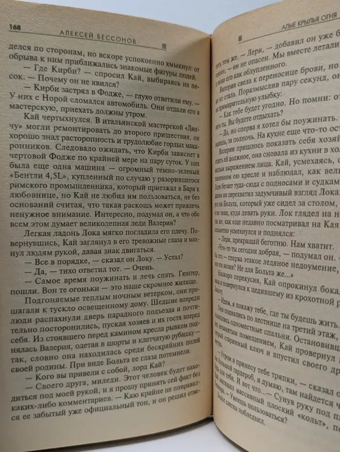 Абсолютное оружие. Алые крылья огня
