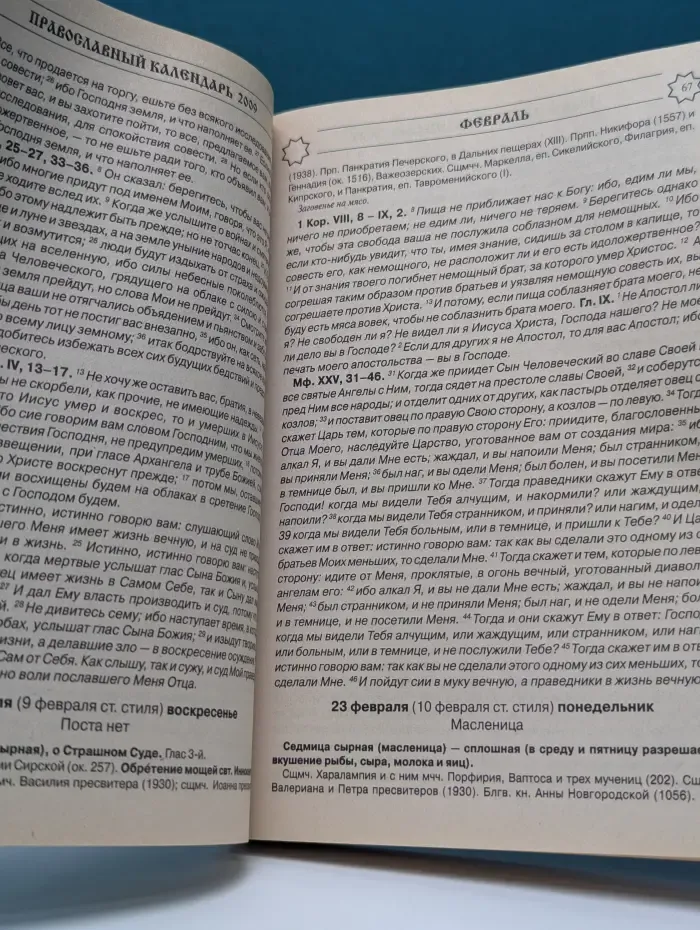 Читаем Евангелие. Православный календарь на 2009 год