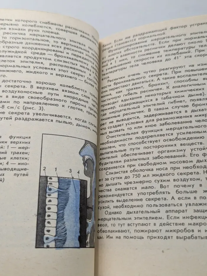 Заболевания органов дыхания: профилактика