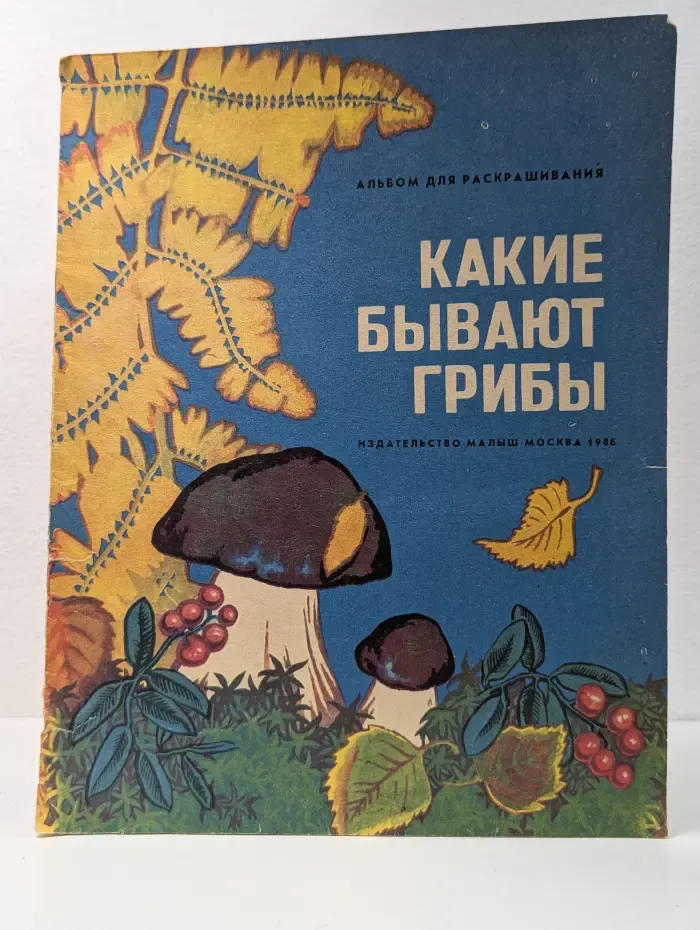 Какие бывают грибы