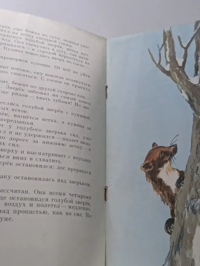Голубой зверек