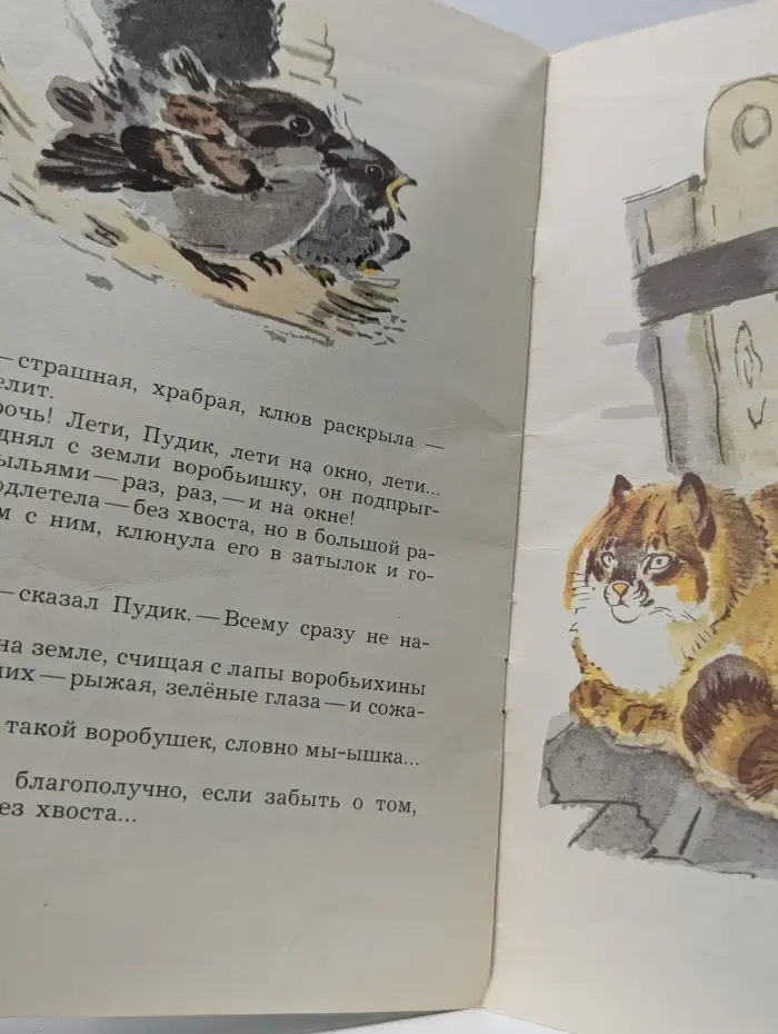 Библиотека детского сада. Воробьишко