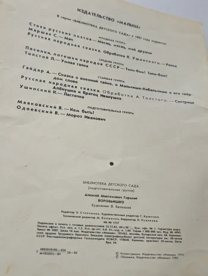 Библиотека детского сада. Воробьишко