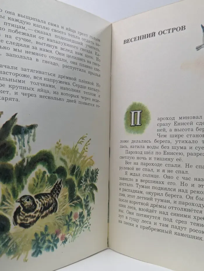 Весенний остров