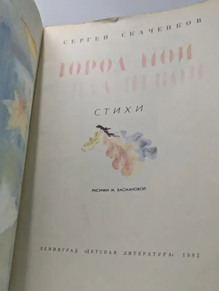 Город мой над Невой