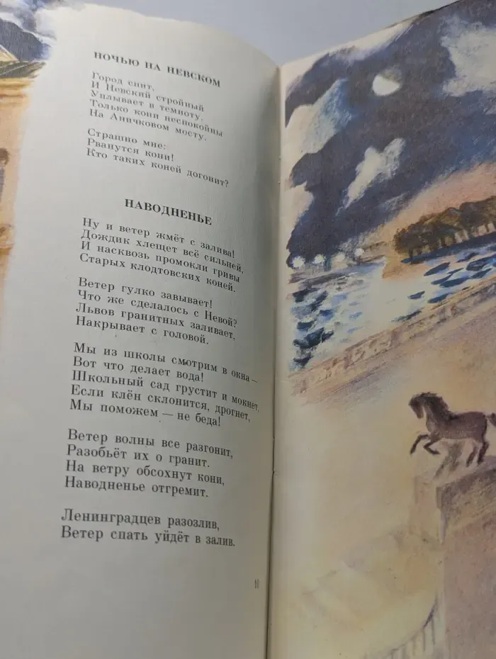Город мой над Невой