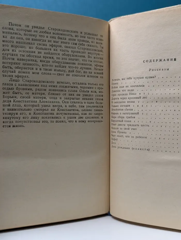 Дорога через красивый лес