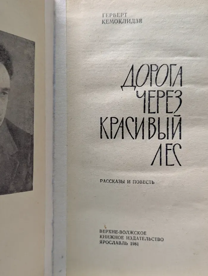 Дорога через красивый лес