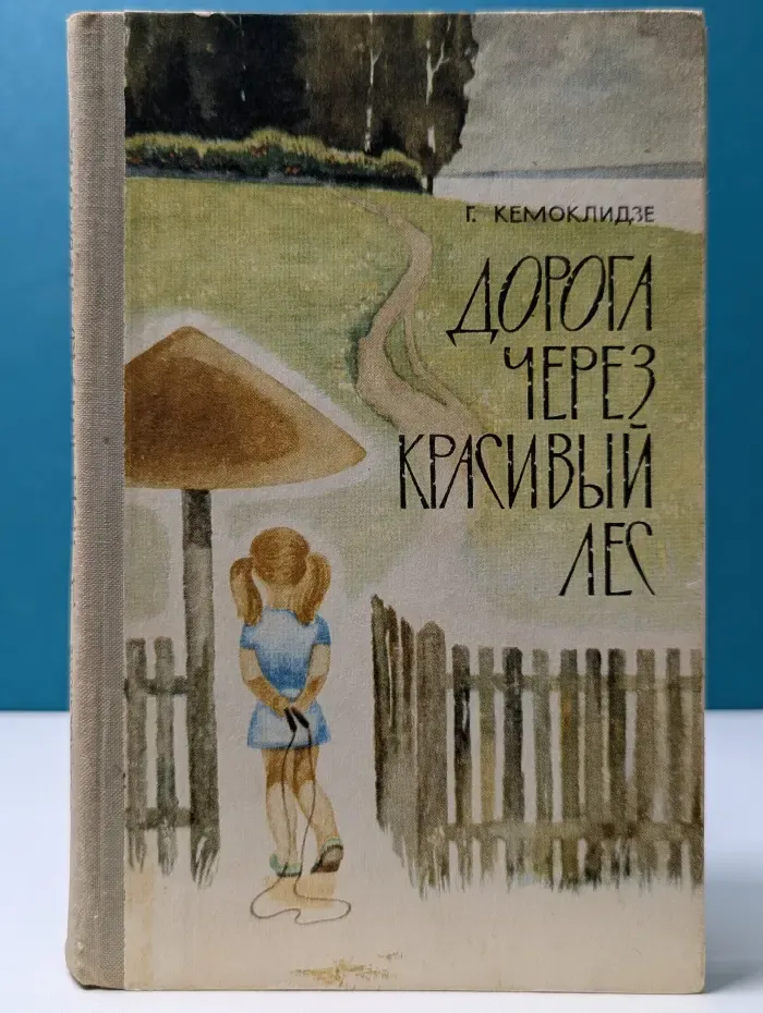 Дорога через красивый лес