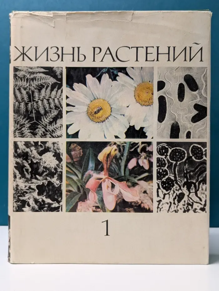 Жизнь растений. В 6 томах. Том 1. Введение. Бактерии и актиномицеты