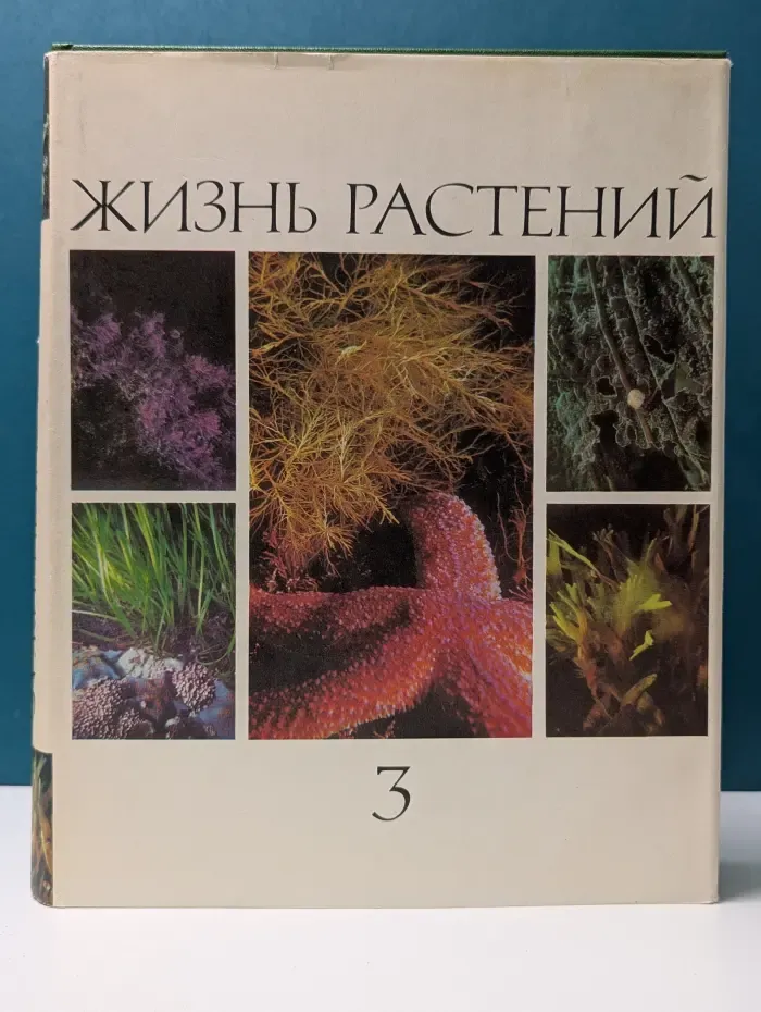 Жизнь растений. Энциклопедия в 6 томах. Том 3
