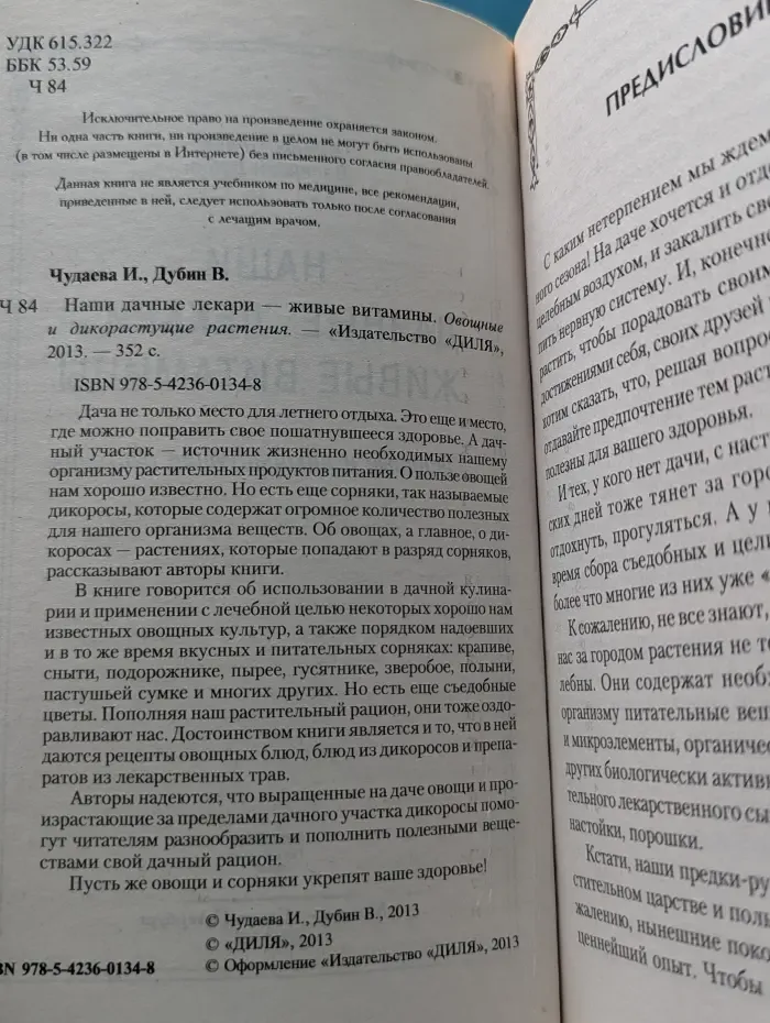 Наши дачные лекари-живые витамины. Овощные и дикорастущие растения