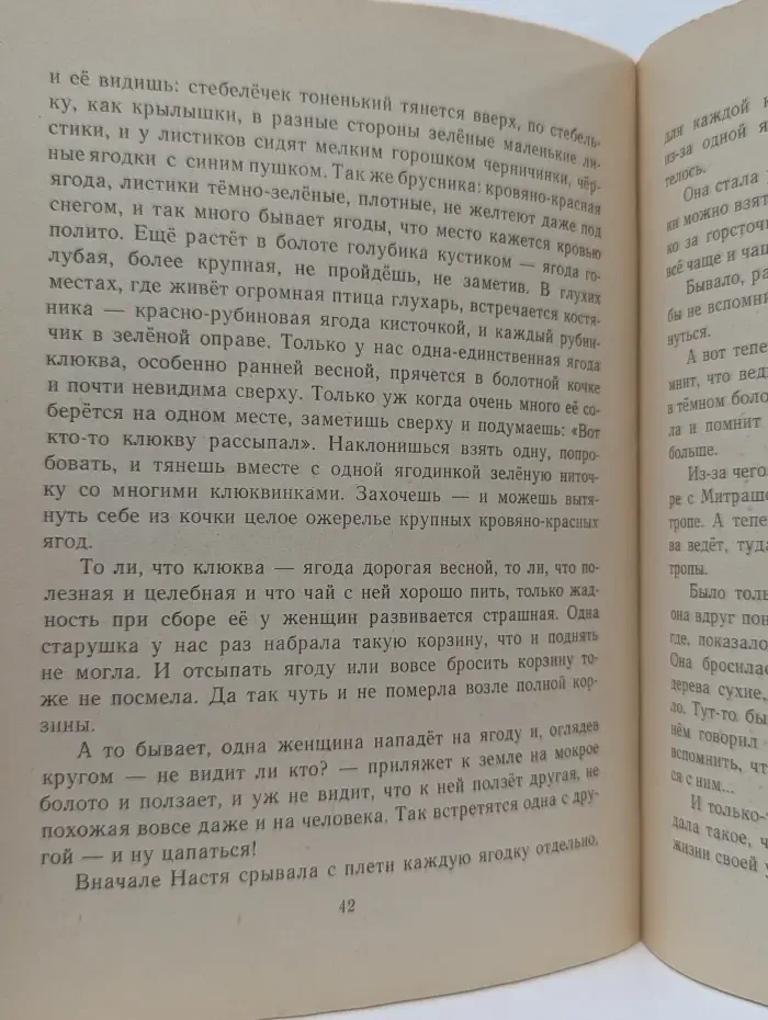 Школьная библиотека. Кладовая солнца
