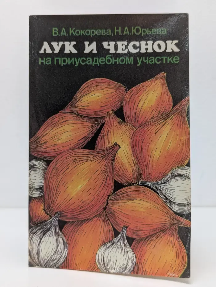 Лук и чеснок на приусадебном участке
