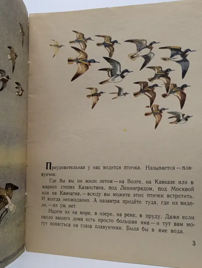 Плавунчик
