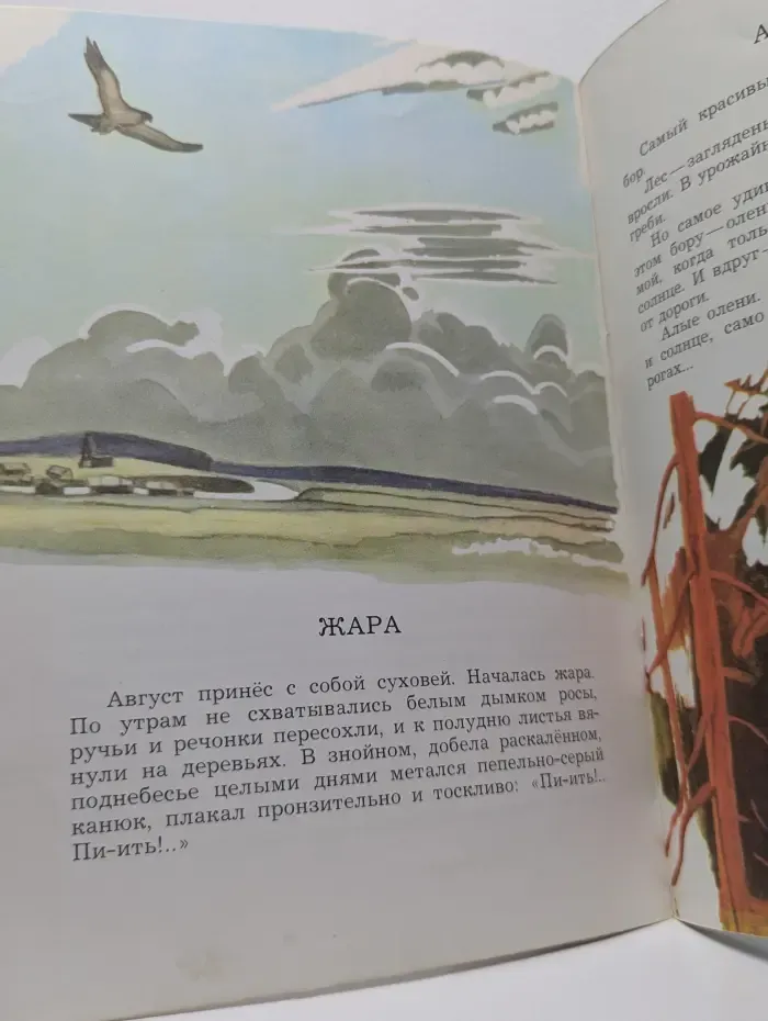 Алые олени