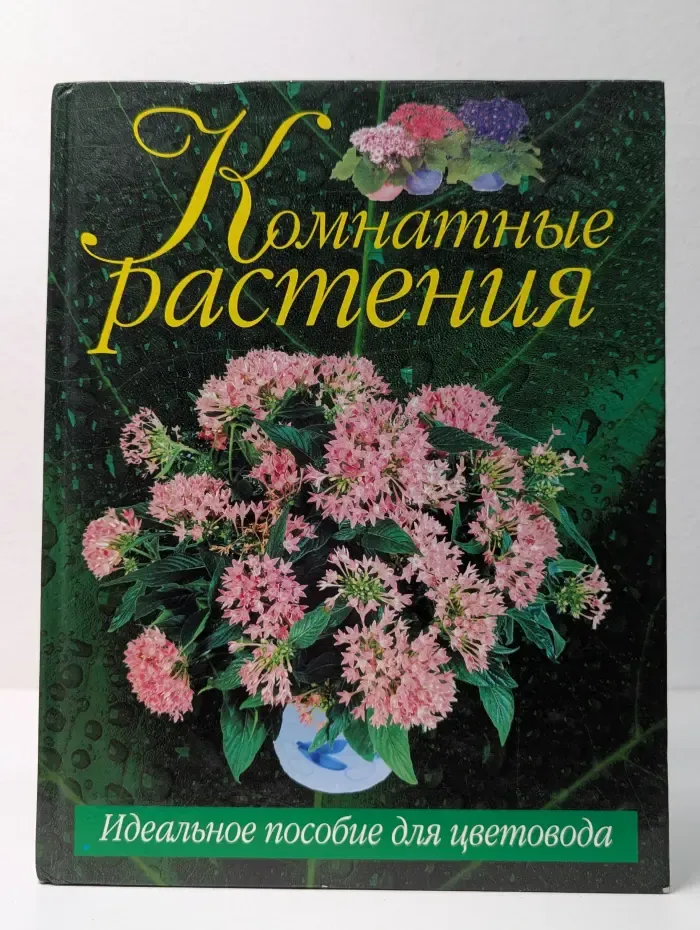 Комнатные растения