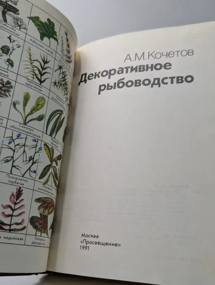 Декоративное рыбоводство