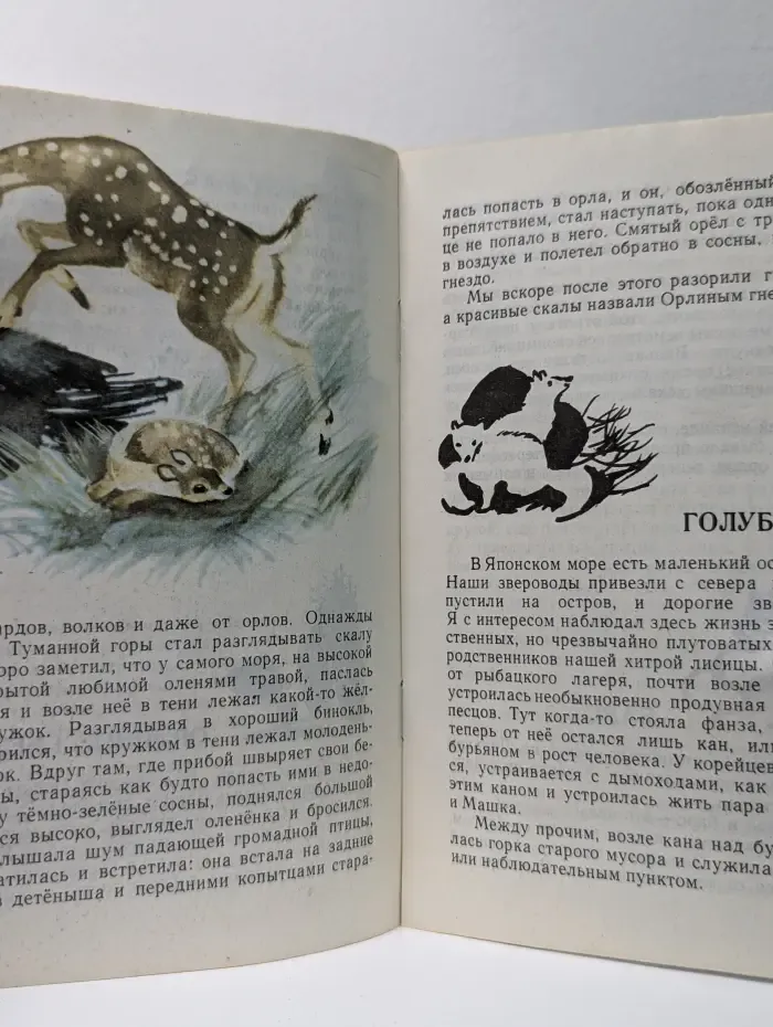 Зверь-бурундук