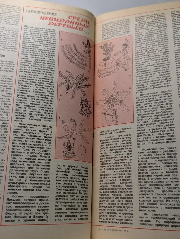 Наука и религия. Выпуск № 5/1994
